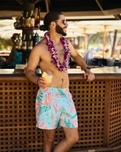The Hawaii