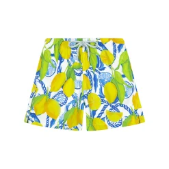 The Lemonade Stand