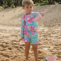 The Maui